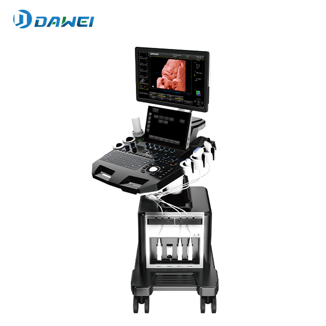 ماسح ضوئي بالموجات فوق الصوتية رباعي الأبعاد للحمل